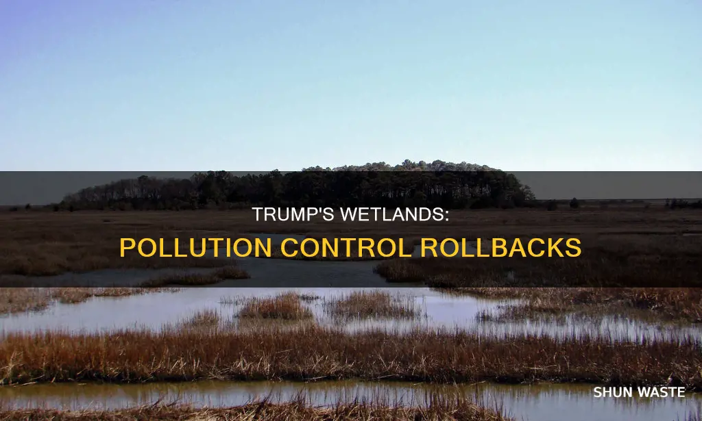 did trump remove pollution controls on wetlands