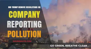 Trump's Legacy: Easing Pollution Reporting Rules for Companies