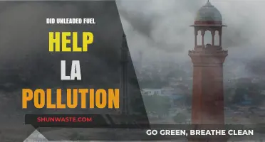 Unleaded Fuel: LA's Pollution Solution?