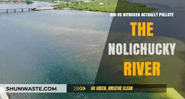 Nitrogen Pollution: Nolichucky River's Unseen Danger