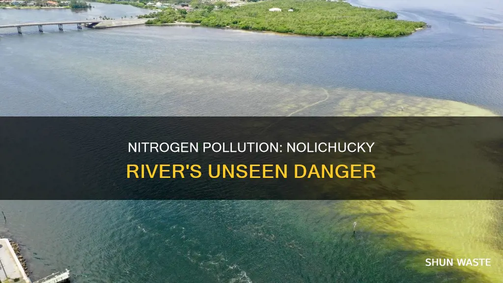 did us nitrogen actually pollute the nolichucky river