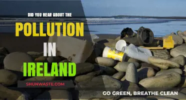Ireland's Pollution Crisis: A Worrying Development