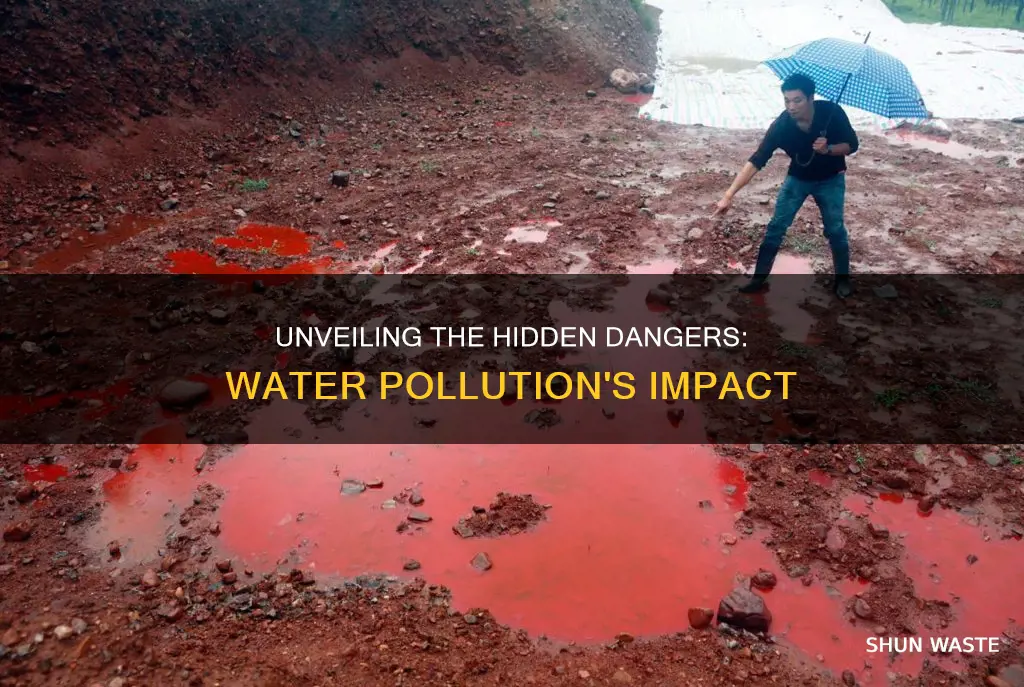 did you know about water pollution