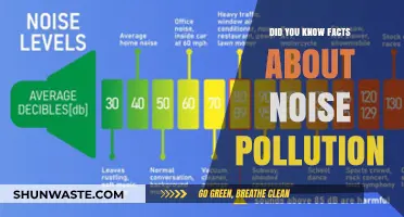 Noise Pollution: Surprising Facts You Need to Know
