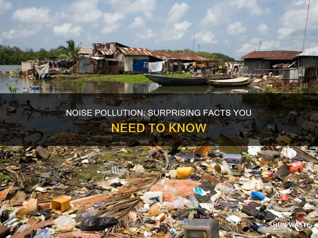 did you know facts about noise pollution