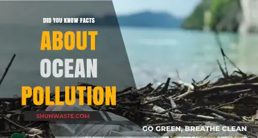 Ocean Pollution: Facts You Need to Know