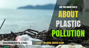 Plastic Pollution: Facts You Need to Know