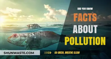 Unveiling Unknown Facts About Pollution