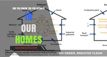 The Home's Hidden Pollutants: What's Lurking in the Air?