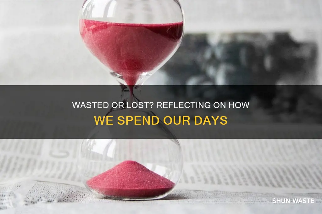 did you waste the day or lose it