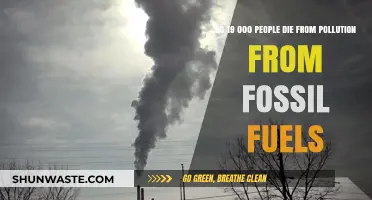 Fossil Fuels: Deadly Pollution and 19,000 Deaths
