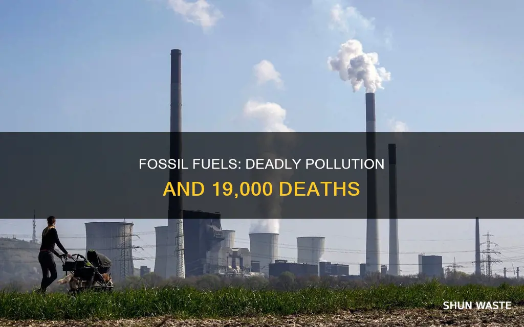 do 19 000 people die from pollution from fossil fuels