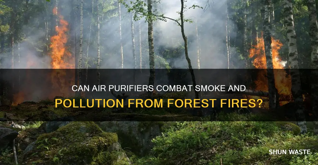 do air purfiers work against pollution caused by forest fires