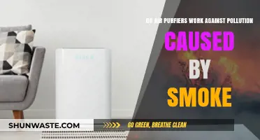 Air Purifiers: Effective Defense Against Smoke Pollution