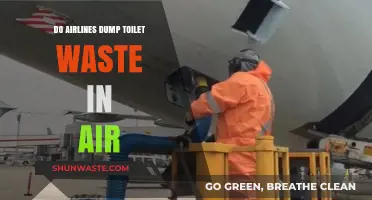 Do Airlines Dump Toilet Waste Mid-Air? Separating Fact from Fiction