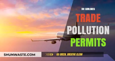 Pollution Permits: How Airlines Trade and Fly