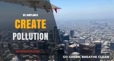 Airplanes and Pollution: What's the Real Damage?