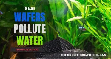 Algae Wafers: The Unseen Water Pollutants?