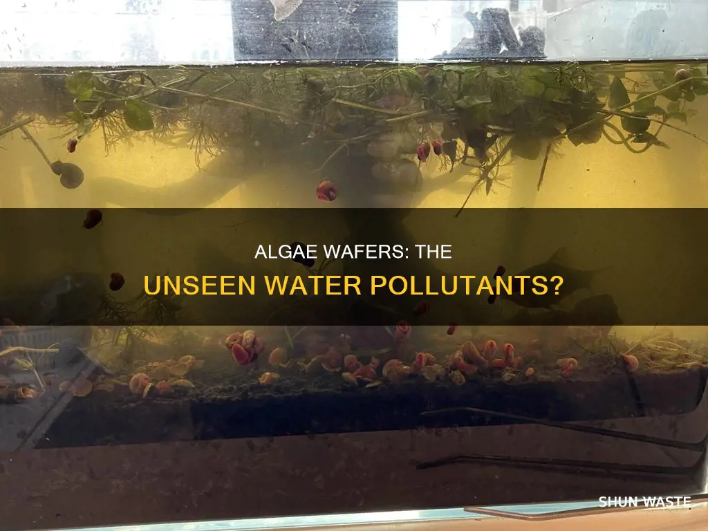 do algae wafers pollute water