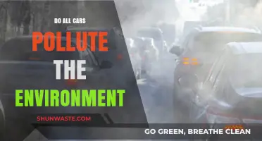 Cars and Pollution: Are There Any Green Options?