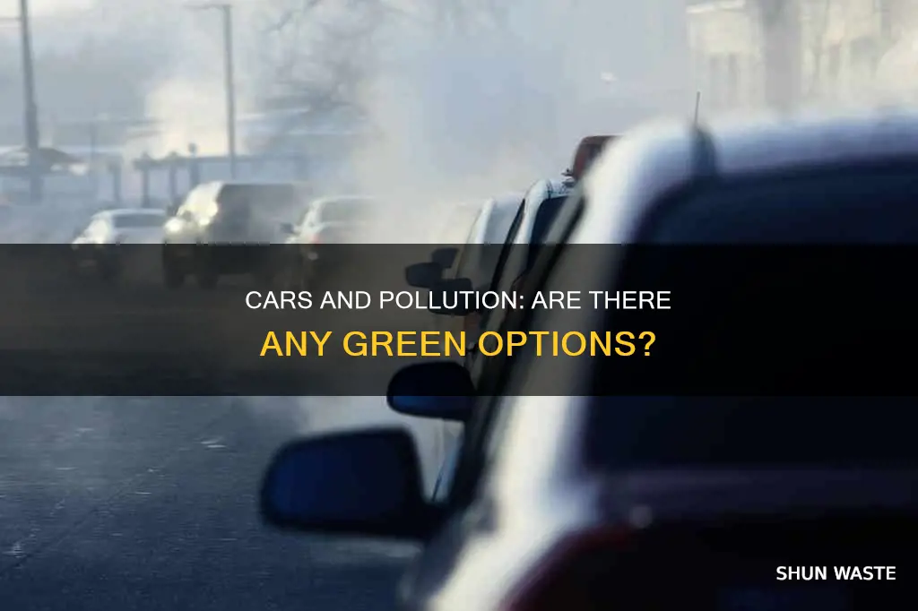 do all cars pollute the environment