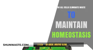 Cellular Waste Elimination: Key to Homeostasis in All Cells?