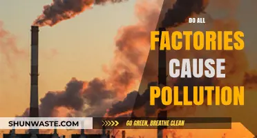 Factory Pollution: Fact or Fiction?