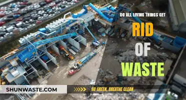 How All Living Organisms Eliminate Waste: A Universal Survival Mechanism