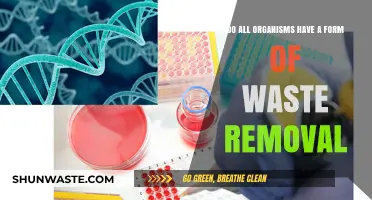 Waste Removal in Organisms: Universal Processes Across All Life Forms