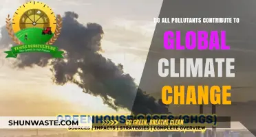 Climate Change: Pollutants' Impact and Role