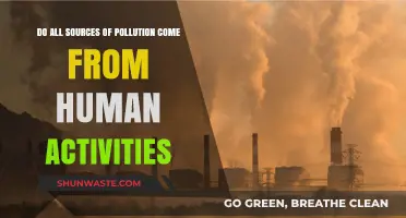 Human Activities: The Root of Pollution?