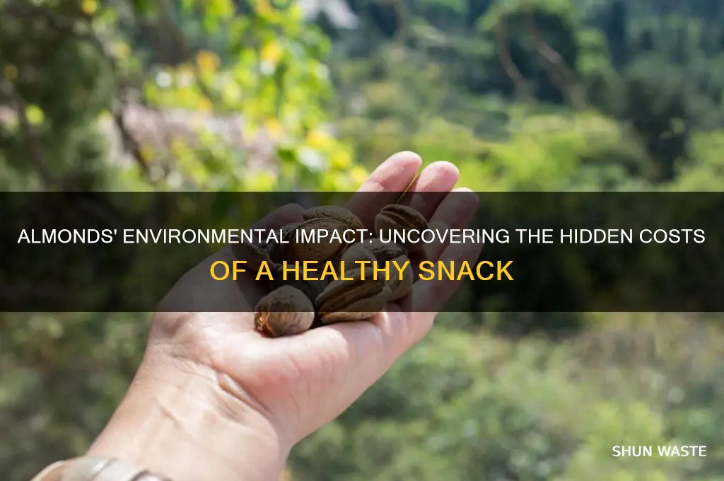 do almonds have a negative impact on environment