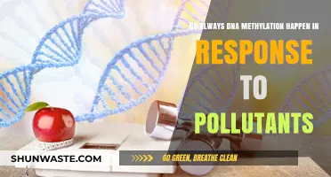 How Pollutants Affect DNA Methylation and Gene Expression