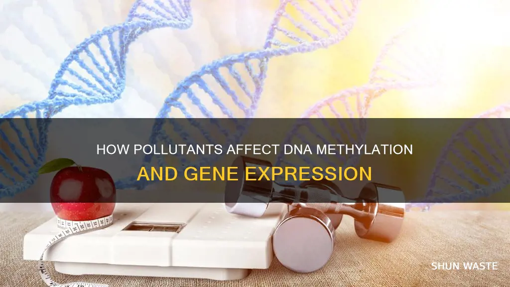 do always dna methylation happen in response to pollutants