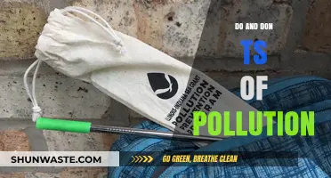Pollution Prevention: Do's and Don'ts for a Cleaner World