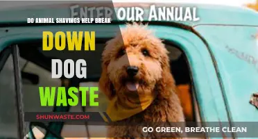 Do Animal Shavings Aid in Decomposing Dog Waste? Find Out