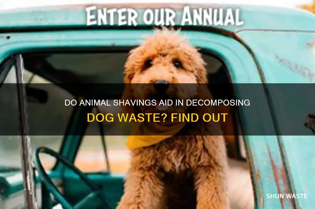 do animal shavings help break down dog waste