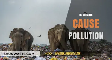 Animal Impact: Uncovering the Surprising Sources of Pollution