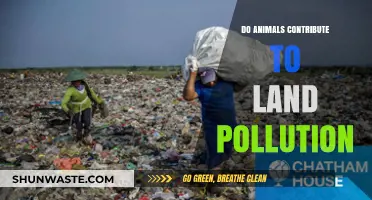 Animals' Role in Land Pollution: An Eco-Analysis
