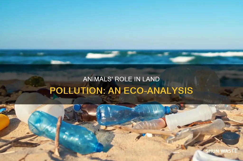 do animals contribute to land pollution