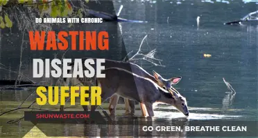 Chronic Wasting Disease: Unveiling the Suffering of Affected Wildlife
