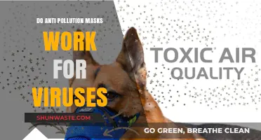 Anti-Pollution Masks: Effective Virus Protection?
