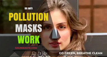 Anti-Pollution Masks: Do They Really Work?