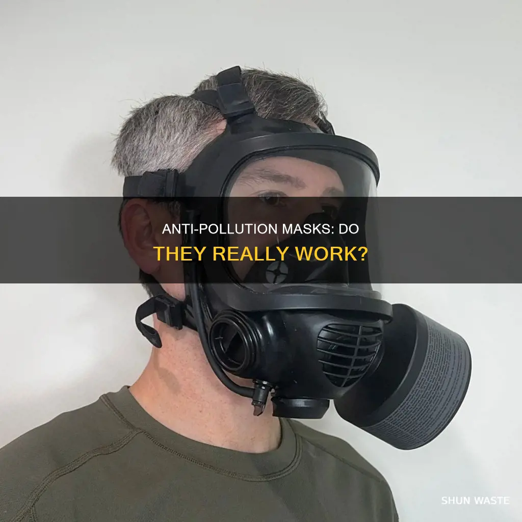 do anti pollution masks work