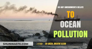 Amendments to Protect Our Oceans: Pollution and the Law