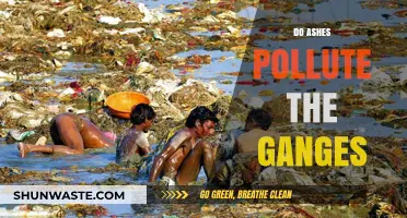 Ashes in the Ganges: Pollution or Holy Ritual?