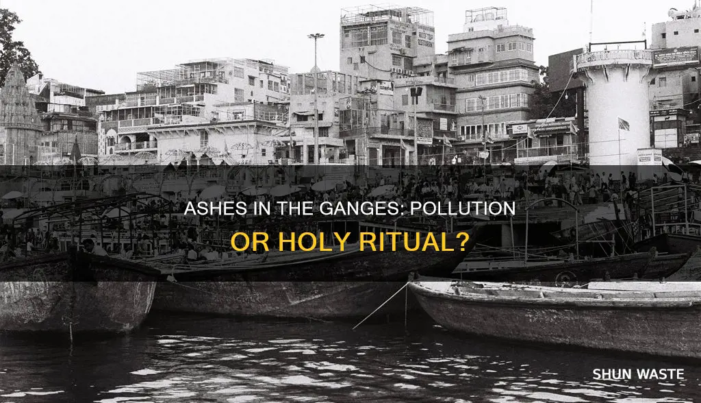 do ashes pollute the ganges