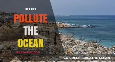 Ocean Ashes: The Pollution Problem