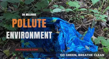 Balloons: Fun or Foe of the Environment?