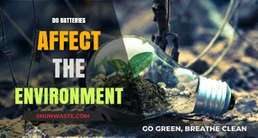 Environmental Impact of Batteries: Sustainable Solutions for a Greener Future